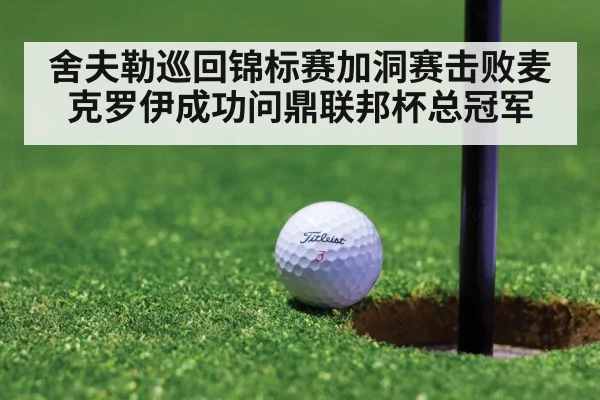 舍夫勒巡回锦标赛加洞赛击败麦克罗伊成功问鼎联邦杯总冠军